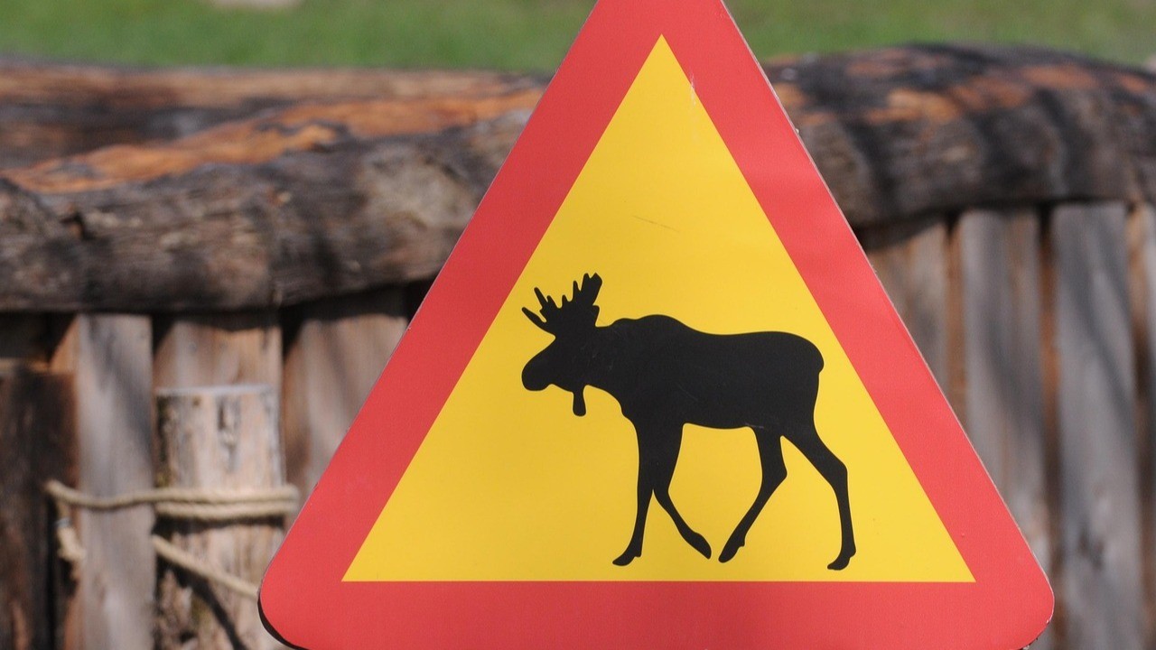 Balancing CDI Program Benefits